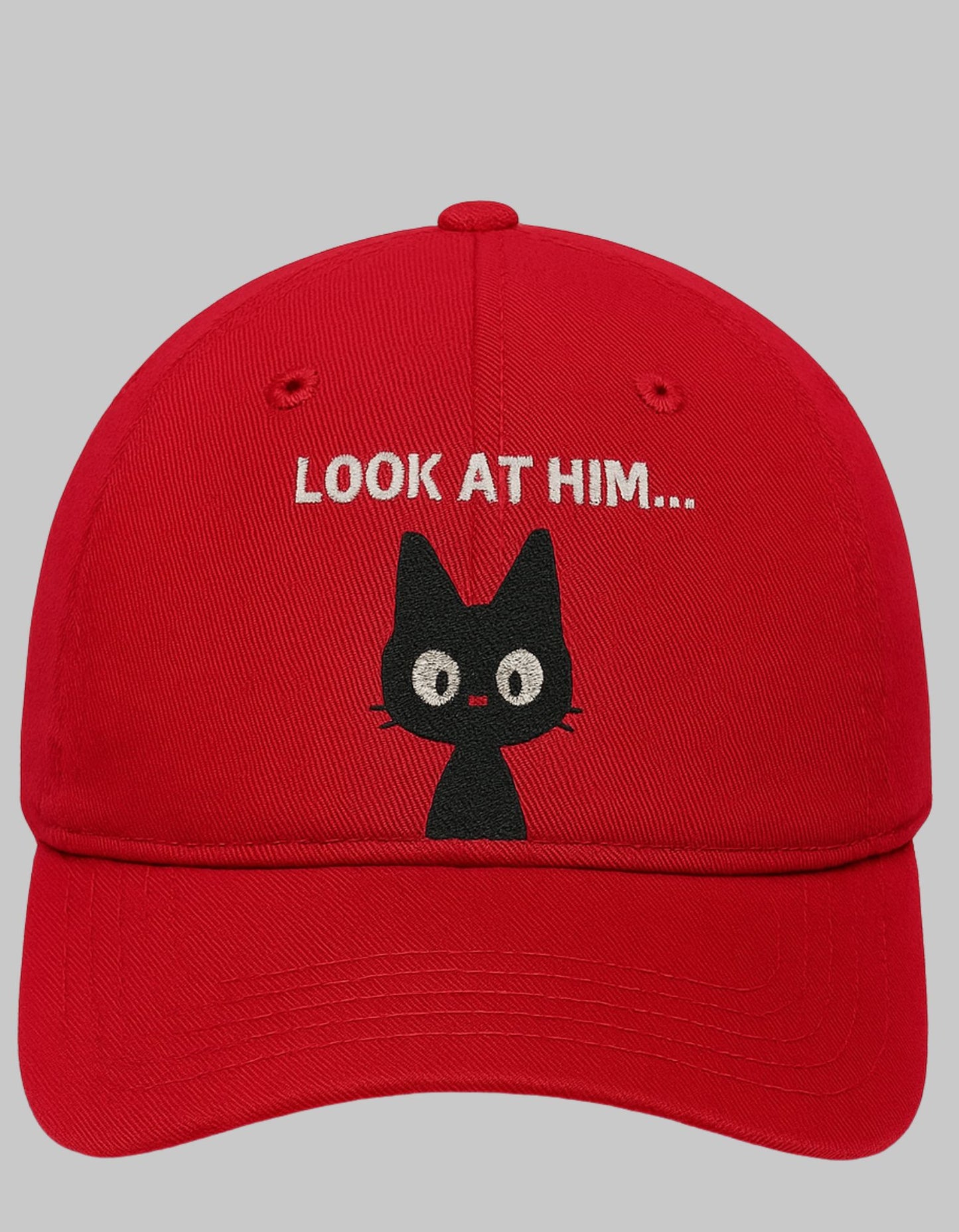"The Look At Him Cap"