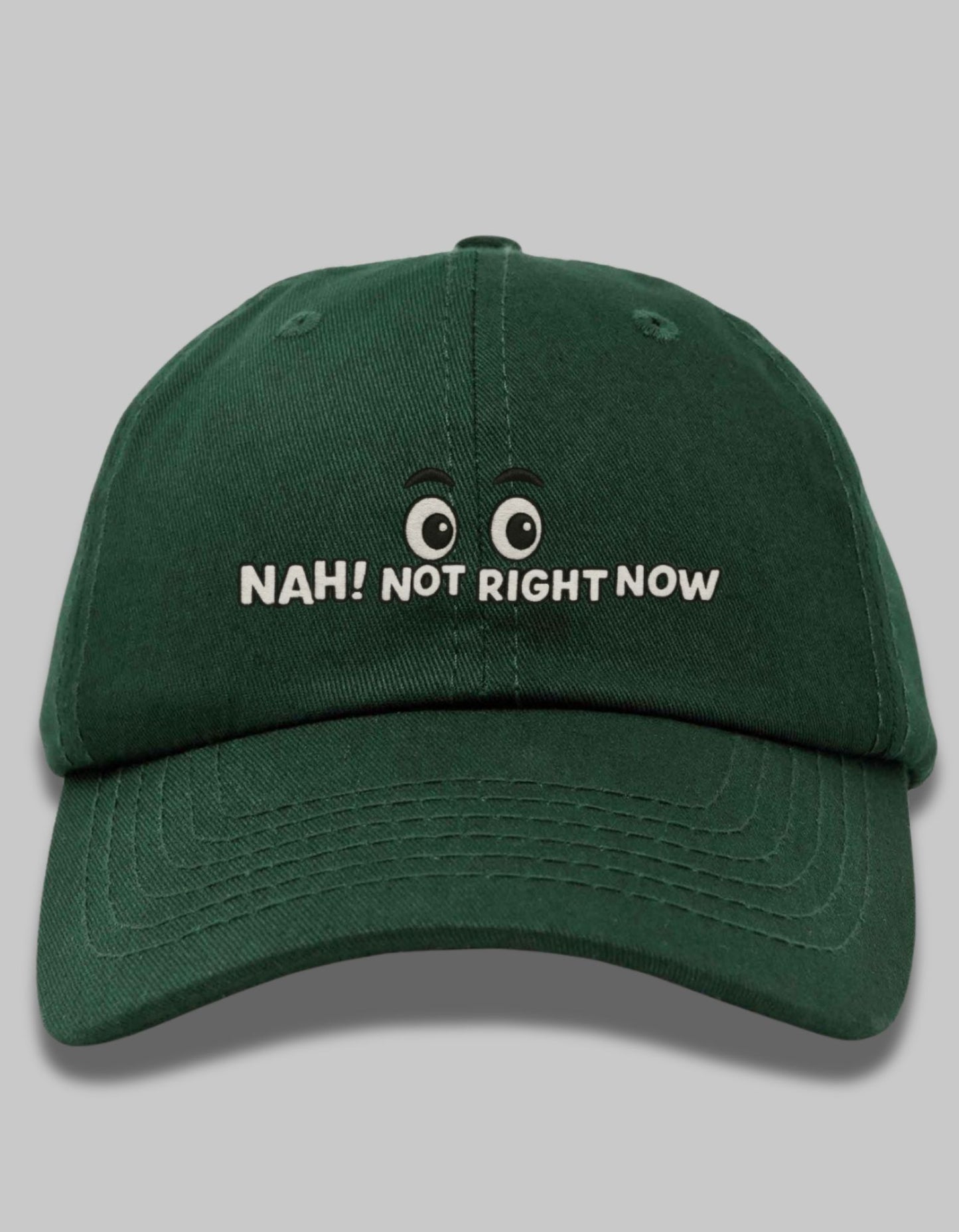 "Nah, Not Right Now" Embroidered Dad Hat