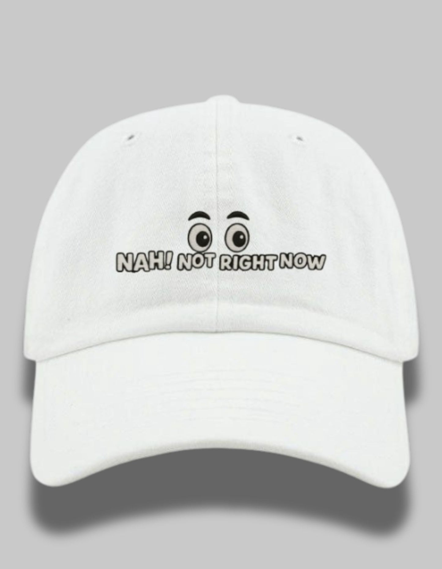 "Nah, Not Right Now" Embroidered Dad Hat