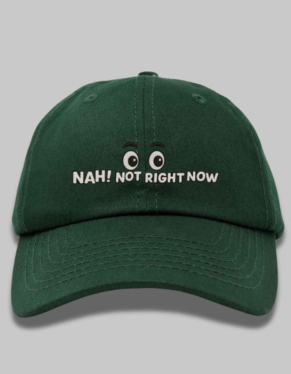 "Nah, Not Right Now" Embroidered Dad Hat